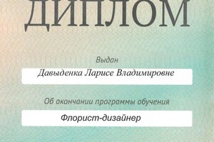 Диплом / сертификат №11 — Давыденка Лариса Владимировна