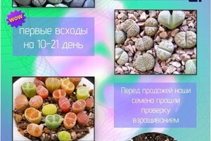 Портфолио №4 — Владимировна Тарасова Варвара