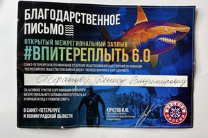 Диплом / сертификат №13 — Стефанов Денис Владиславович