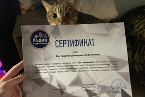 Диплом / сертификат №1 — Евстратов Дмитрий Сергеевич