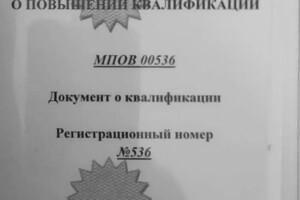 Диплом / сертификат №3 — Грецкий Владимир Владимирович