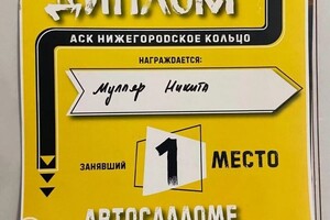 Диплом / сертификат №14 — Никита Дмитриевич