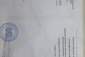 Ермакова Маргарита Александровна — Диплом / сертификат №2