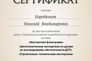 Диплом / сертификат №10 — Коробенков Николай Владимирович