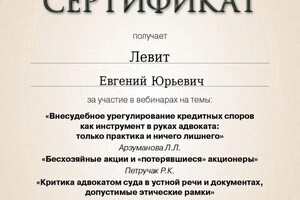 Диплом / сертификат №12 — Левит Евгений Юрьевич