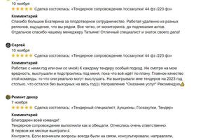 Тендерное сопровождение — ИП Цыганова Екатерина Владимировна