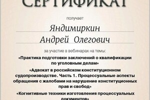 Диплом / сертификат №1 — Яндимиркин Андрей Олегович