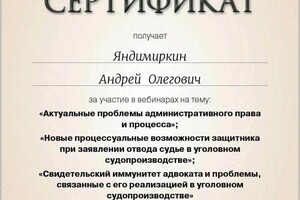 Диплом / сертификат №11 — Яндимиркин Андрей Олегович