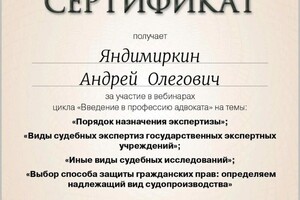 Диплом / сертификат №13 — Яндимиркин Андрей Олегович