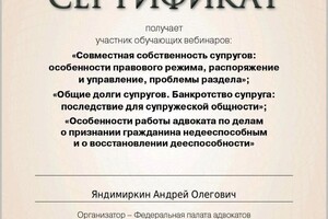 Диплом / сертификат №17 — Яндимиркин Андрей Олегович