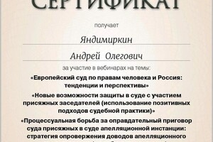 Диплом / сертификат №2 — Яндимиркин Андрей Олегович