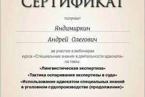 Диплом / сертификат №3 — Яндимиркин Андрей Олегович