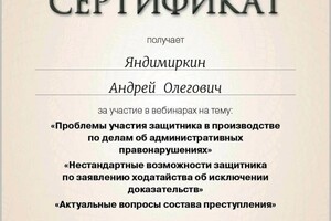 Диплом / сертификат №4 — Яндимиркин Андрей Олегович