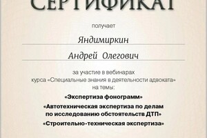 Диплом / сертификат №5 — Яндимиркин Андрей Олегович