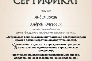 Диплом / сертификат №6 — Яндимиркин Андрей Олегович