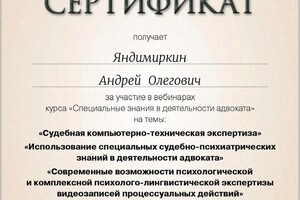 Диплом / сертификат №7 — Яндимиркин Андрей Олегович