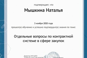 Диплом / сертификат №4 — Мышкина Наталья Олеговна