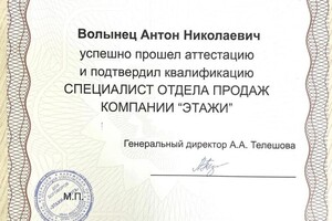 Диплом / сертификат №2 — Николаевич Волынец Антон
