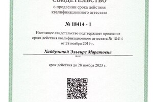 Диплом / сертификат №3 — Хайбулина Эльвира Маратовна