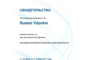 Диплом / сертификат №6 — Вдовкин Руслан Олегович