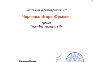 Диплом / сертификат №3 — Черненко Игорь Юрьевич