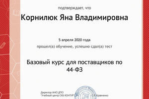 Контур1 — Корнилюк Яна Владимировна