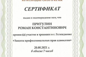 Диплом / сертификат №2 — Притулин Роман Константинович