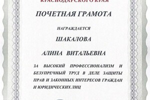 Диплом / сертификат №1 — Шакалова Алина Витальевна