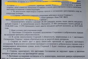 Досудебное урегулирование спора — Соболев Александр Владимирович