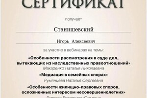 Диплом / сертификат №21 — Станишевский Игорь Алексеевич