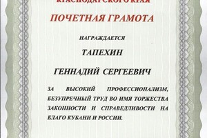 Диплом / сертификат №2 — Тапехин Геннадий Сергеевич