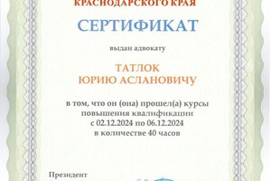 Диплом / сертификат №13 — Татлок Юрий Асланович