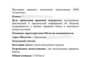 Проведена правовая оценка объекта недвижимости перед покупкой — Тофадзе Евгения Сергеевна