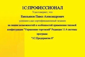 Диплом / сертификат №2 — Емельянов Павел Александрович