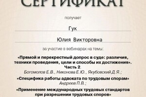 Диплом / сертификат №14 — Гук Юлия Викторовна