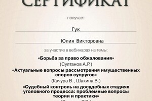 Диплом / сертификат №19 — Гук Юлия Викторовна