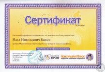 Сертификат КонсультантПлюс (2011 г.) — Быков Илья Николаевич