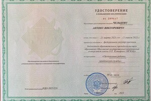 Диплом / сертификат №11 — Чельцов Антон Викторович