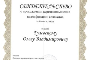 Диплом / сертификат №19 — Гулевский Олег Владимирович