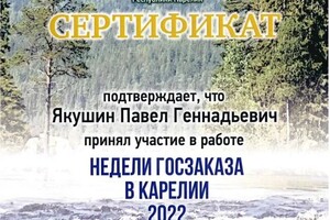 Диплом / сертификат №26 — ИП Якушин Павел Геннадьевич