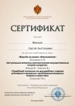 Диплом / сертификат №13 — Иванцов Сергей Анатольевич