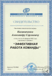 Свидетельство участника бизнес-тренинга — Калиниченко Александр Сергеевич