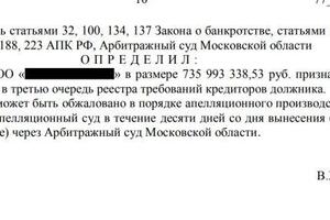 В деле о банкротстве включены в реестр требования на 735 млн руб. — Капустин Павел Андреевич