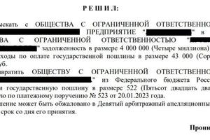 По иску нашего доверителя взыскана задолженность по договору на ПИР в сумме 4 млн руб. — Капустин Павел Андреевич