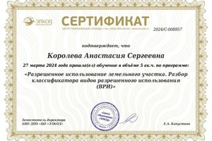 Диплом / сертификат №15 — Королева Анастасия Сергеевна