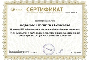 Диплом / сертификат №23 — Королева Анастасия Сергеевна