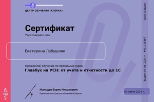 Диплом / сертификат №6 — Лабушняк Екатерина Игоревна