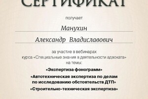 Диплом / сертификат №2 — Манухин Александр Владиславович