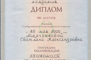 Диплом Ростовской государственной экономической академии — Марченкова Светлана Александровна