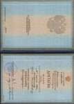 Диплом / сертификат №3 — Мельников Юрий Николаевич